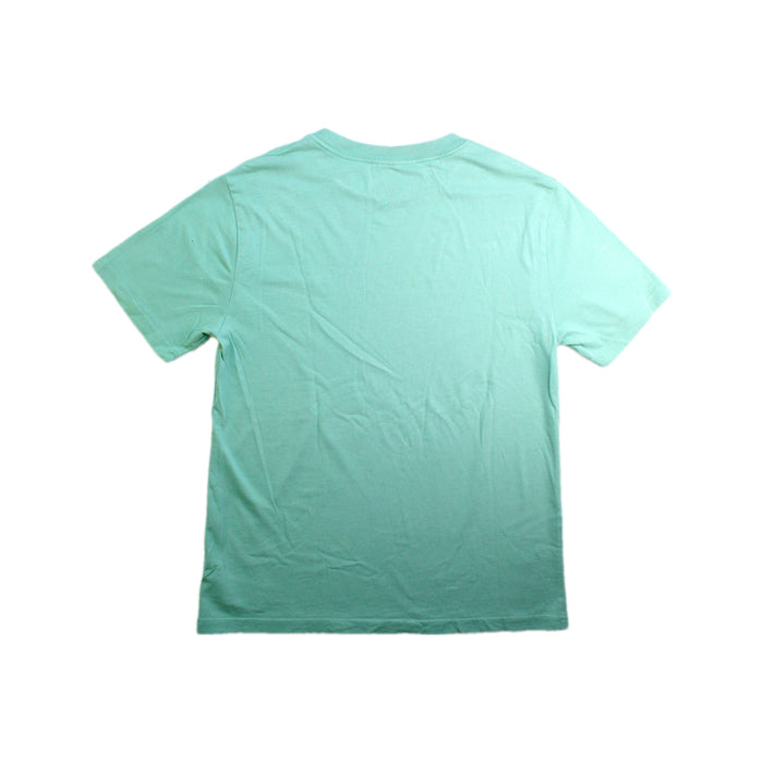 A Green Short Sleeve T Shirts from Polo Ralph Lauren in size 10Y for boy. (Back View)
