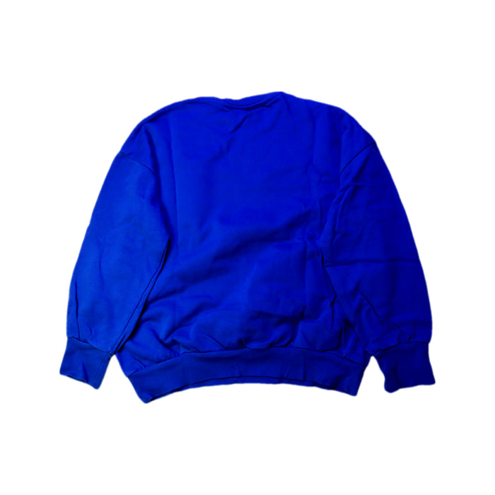 A Blue Crewneck Sweatshirts from Mini Rodini in size 9Y for boy. (Back View)