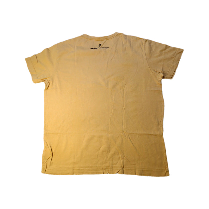A Beige Short Sleeve T Shirts from The Animals Observatory in size 10Y for boy. (Back View)