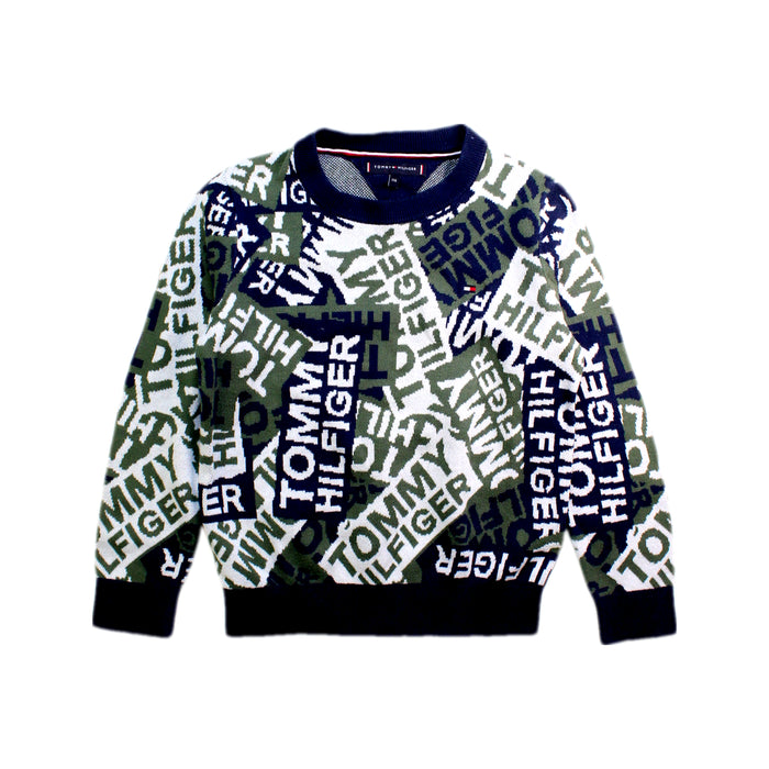 A Multicolour Crewneck Sweatshirts from Tommy Hilfiger in size 5T for boy. (Front View)