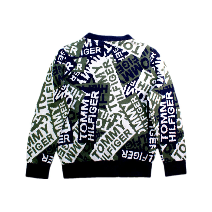 A Multicolour Crewneck Sweatshirts from Tommy Hilfiger in size 5T for boy. (Back View)