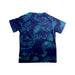 A Blue Short Sleeve T Shirts from Nike in size 4T for boy. (Back View)