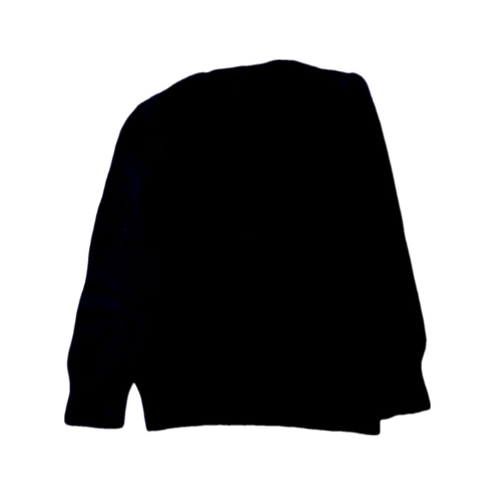A Navy Knit Sweaters from Polo Ralph Lauren in size 6T for boy. (Back View)