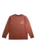 A Brown Long Sleeve T Shirts from Patagonia in size 5T for boy. (Front View)