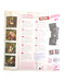 A Multicolour Craft & Activities from Djeco in size 7Y for girl. (Back View)