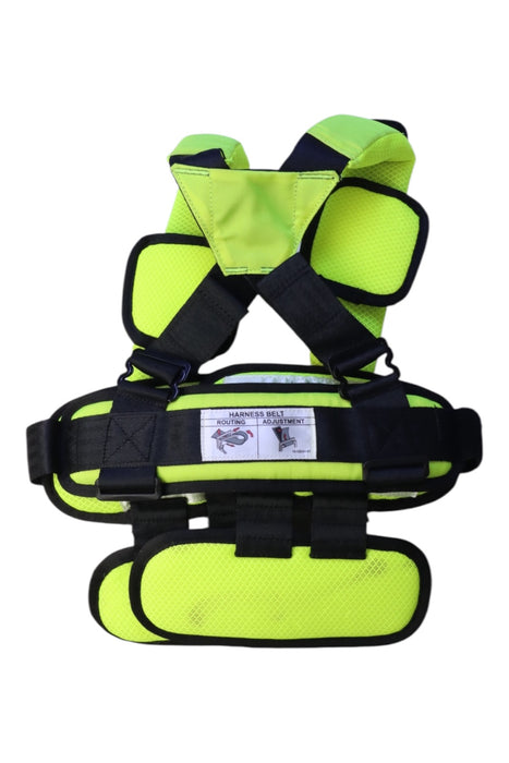 A Green Car Accessories from RideSafer in size 4T for neutral. (Back View)