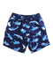 A Navy Swim Shorts from Hanna Andersson in size 6T for boy. (Front View)