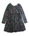 A Multicolour Long Sleeve Dresses from Hanna Andersson in size 10Y for girl. (Front View)