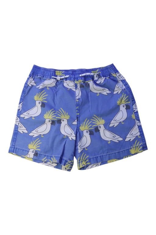 A Blue Shorts from Seed in size 6T for boy. (Front View)