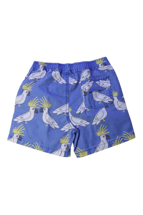 A Blue Shorts from Seed in size 6T for boy. (Back View)