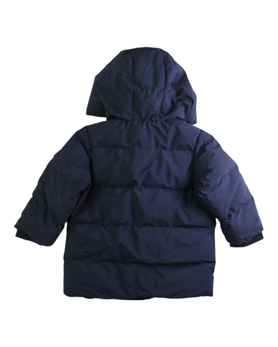 A Navy Puffer/Quilted Coats & Outerwear from Jacadi in size 12-18M for boy. (Back View)