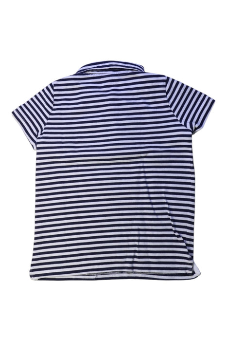 A Navy Short Sleeve Polos from Seed in size 6T for boy. (Back View)