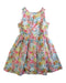 A Multicolour Sleeveless Dresses from J.Crew in size 5T for girl. (Front View)
