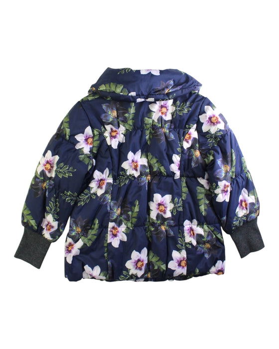 A Navy Puffer/Quilted Jackets from BeBe in size 5T for girl. (Back View)