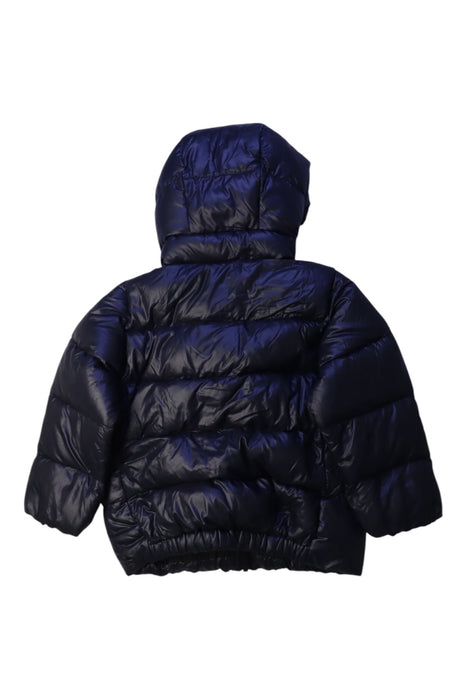 A Navy Puffer/Quilted Coats & Outerwear from Patagonia in size 3T for boy. (Back View)