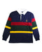 A Multicolour Long Sleeve Polos from Polo Ralph Lauren in size 10Y for boy. (Front View)