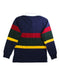 A Multicolour Long Sleeve Polos from Polo Ralph Lauren in size 10Y for boy. (Back View)