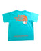 A Teal Short Sleeve T Shirts from The North Face in size 18-24M for boy. (Back View)