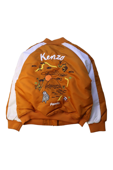 A Orange Lightweight Jackets from Kenzo in size 6T for boy. (Back View)