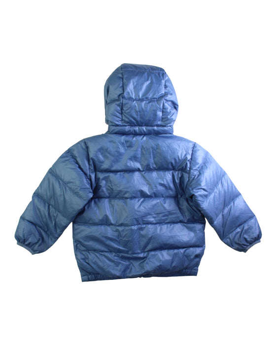 A Blue Puffer/Quilted Jackets from Patagonia in size 2T for boy. (Back View)