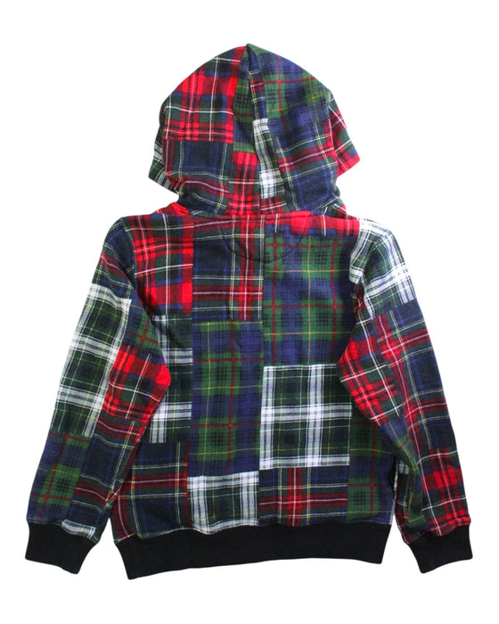 A Multicolour Hooded Sweatshirts from Polo Ralph Lauren in size 10Y for boy. (Back View)
