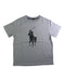 A Grey Short Sleeve T Shirts from Polo Ralph Lauren in size 6T for boy. (Front View)