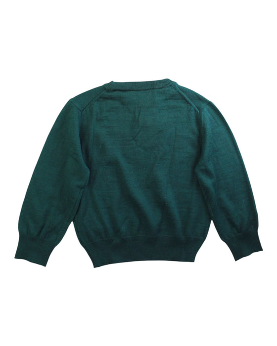 A Green Crewneck Sweatshirts from DSquared2 in size 4T for neutral. (Back View)