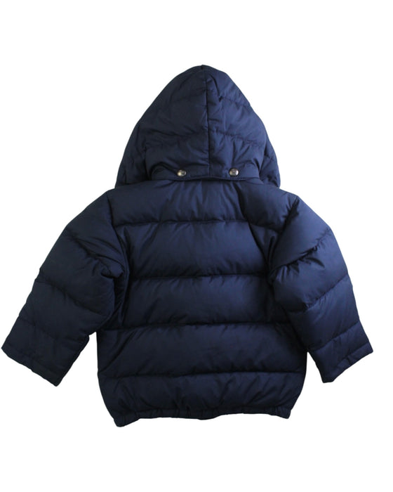 A Navy Puffer/Quilted Coats & Outerwear from Polo Ralph Lauren in size 2T for neutral. (Back View)