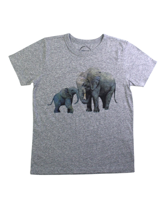 A Grey Short Sleeve T Shirts from Crewcuts in size 6T for boy. (Front View)