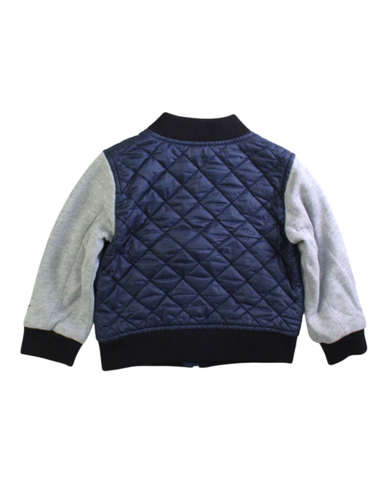 A Navy Puffer/Quilted Jackets from Burberry in size 2T for boy. (Back View)