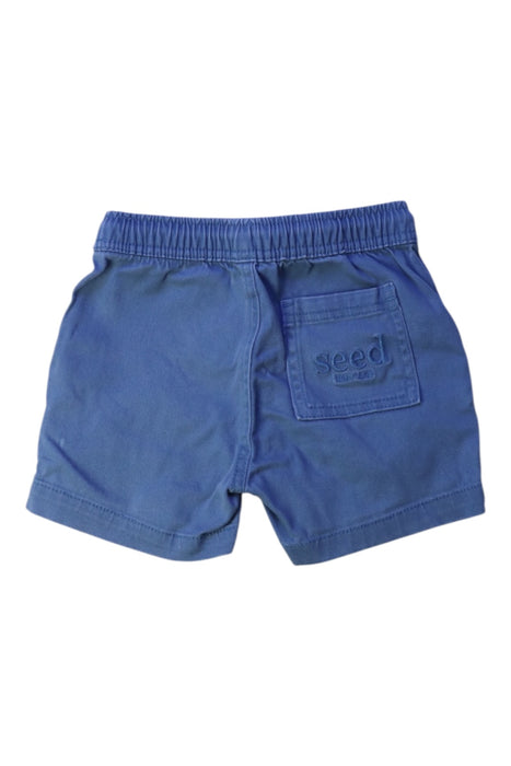 A Blue Shorts from Seed in size 3T for boy. (Back View)