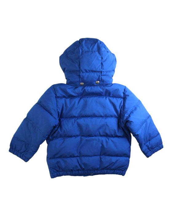 A Blue Puffer/Quilted Coats & Outerwear from Polo Ralph Lauren in size 2T for boy. (Back View)