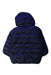 A Navy Puffer/Quilted Coats & Outerwear from Polarn O. Pyret in size 3-6M for boy. (Back View)
