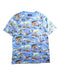 A Multicolour Short Sleeve T Shirts from Polo Ralph Lauren in size 14Y for boy. (Front View)