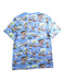 A Multicolour Short Sleeve T Shirts from Polo Ralph Lauren in size 14Y for boy. (Back View)