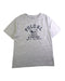 A Grey Short Sleeve T Shirts from Polo Ralph Lauren in size 14Y for boy. (Front View)