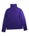 A Purple Long Sleeve Tops from American Vintage in size 13Y for girl. (Front View)