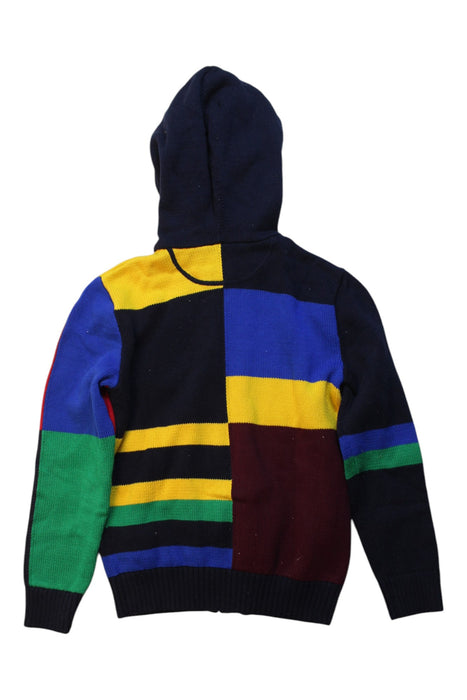 A Multicolour Hooded Sweatshirts from Polo Ralph Lauren in size 8Y for boy. (Back View)