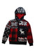 A Multicolour Hooded Sweatshirts from Polo Ralph Lauren in size 7Y for boy. (Front View)