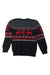 A Multicolour Knit Sweaters from Polo Ralph Lauren in size 7Y for boy. (Back View)