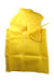 A Yellow Halloween Costumes from Retykle in size 14Y for neutral. (Back View)