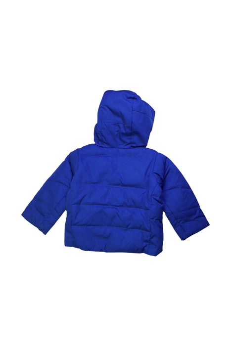 A Blue Puffer/Quilted Coats & Outerwear from Polo Ralph Lauren in size 2T for boy. (Back View)