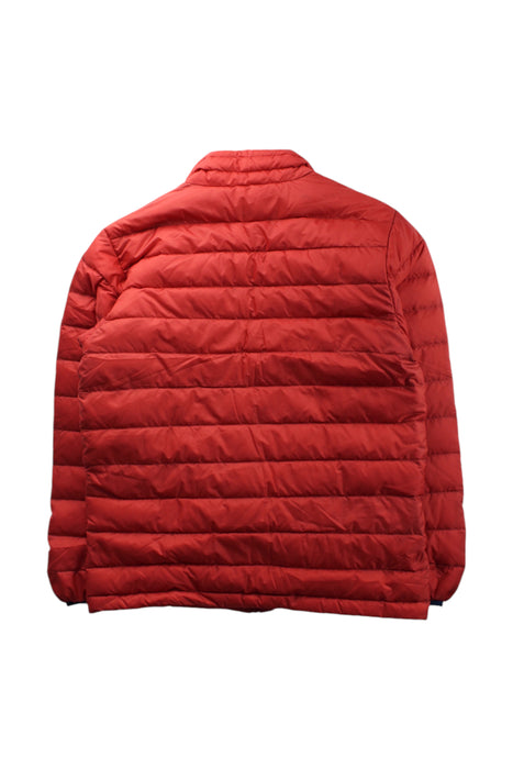 A Red Puffer/Quilted Coats & Outerwear from Patagonia in size 12Y for neutral. (Back View)