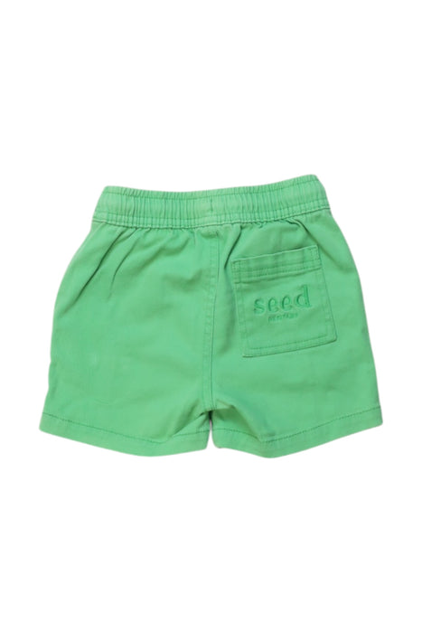 A Green Shorts from Seed in size 2T for boy. (Back View)