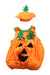 A Orange Halloween Costumes from Retykle in size 5T for neutral. (Front View)