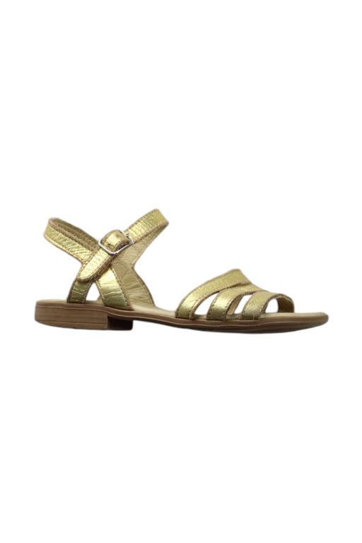 A Gold Sandals from La Coqueta in size 5T for girl. (Front View)