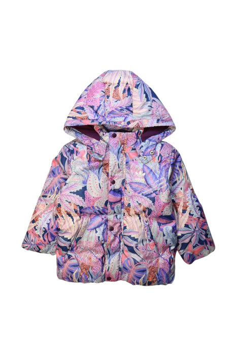 A Multicolour Puffer/Quilted Jackets from Adidas in size 2T for girl. (Front View)