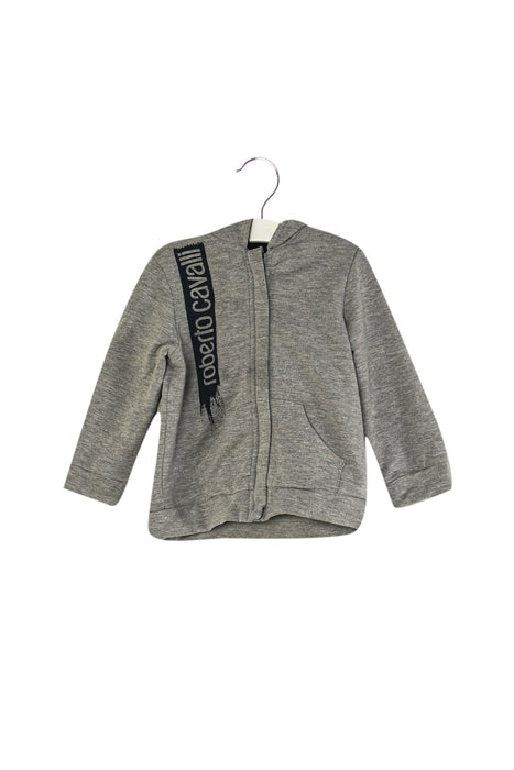 A Grey Zippered Sweatshirts from Roberto Cavalli in size 18-24M for boy. (Front View)