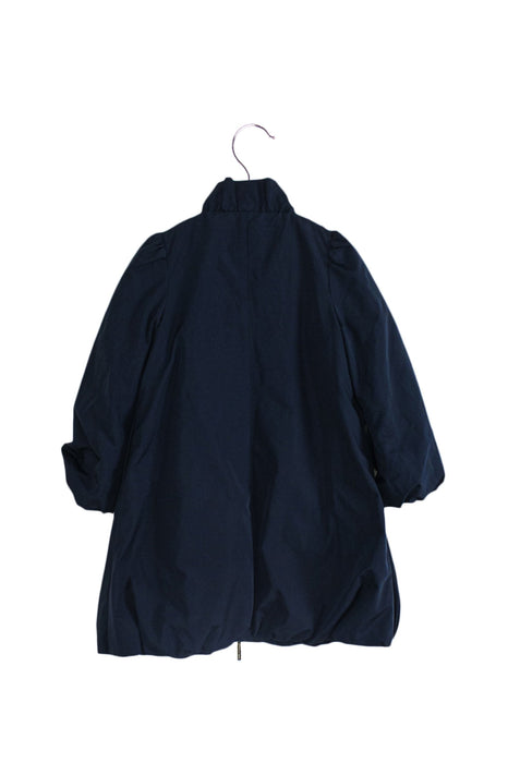 A Navy Lightweight Jackets from Nicholas & Bears in size 4T for girl. (Back View)