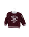 A Burgundy Crewneck Sweatshirts from Ralph Lauren in size 3-6M for boy. (Front View)